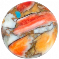 Oyster