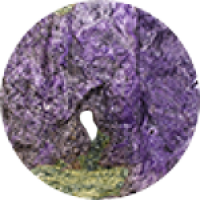 Stichtite
