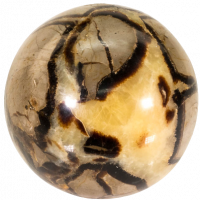 Septarian