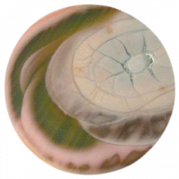 Imperial Jasper