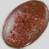 Dinosaur Bone
